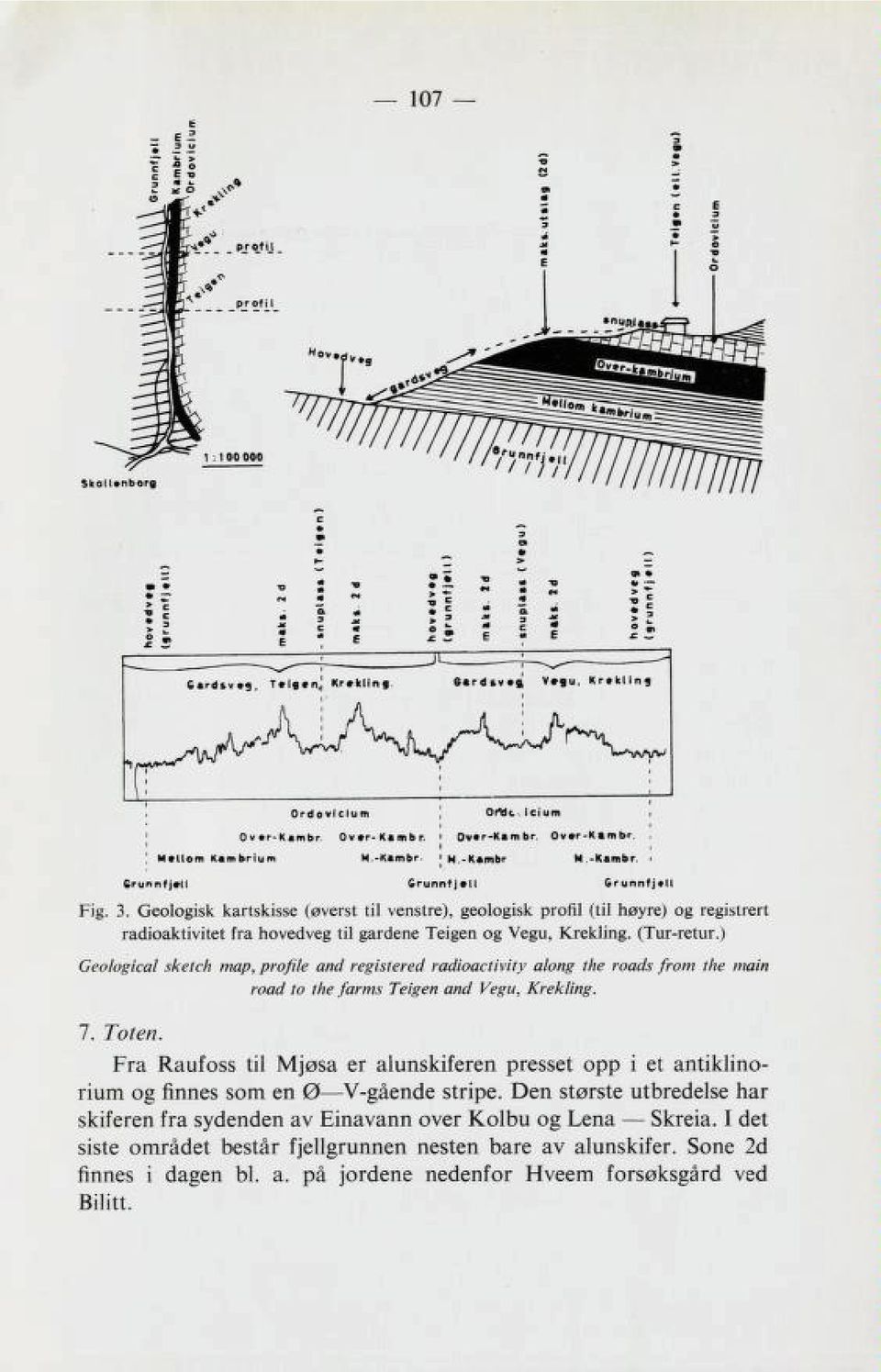 Ov»r-K»mbr. Mallom Kambrium M.-Kimbr ' H.-Kambr M.-Kambr. Fra Raufoss til Mjøsa er alunskiferen presset opp i et antiklino rium og finnes som en O V-gående stripe.