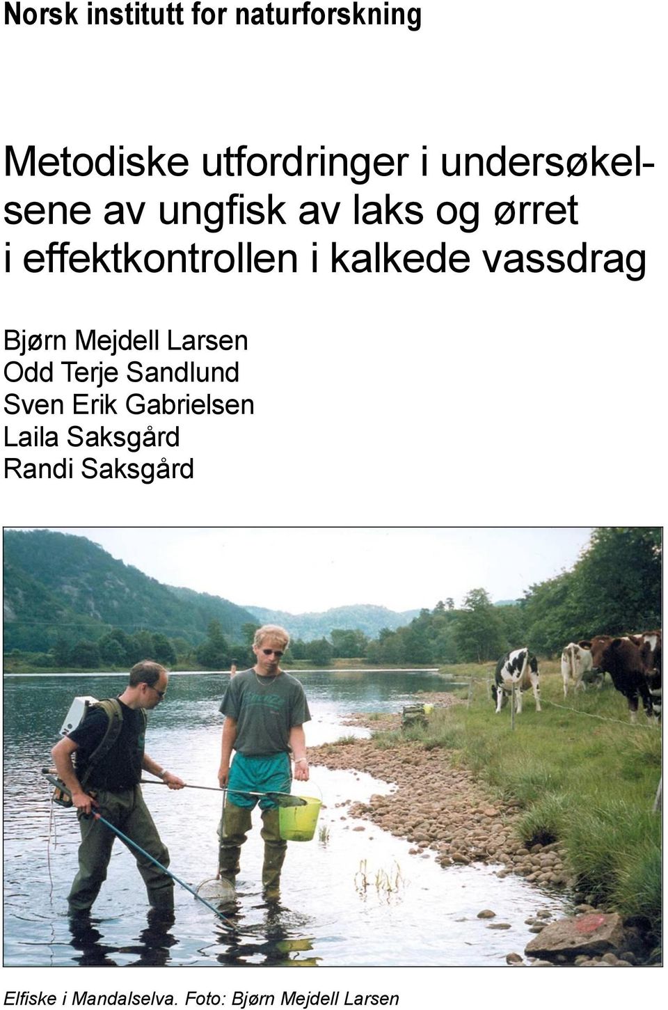 kalkede vassdrag Bjørn Mejdell Larsen Odd Terje Sandlund Sven Erik