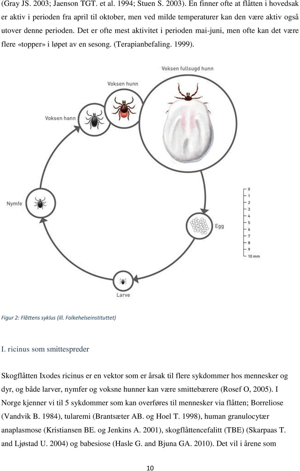 Det er ofte mest aktivitet i perioden mai-juni, men ofte kan det være flere «topper» i løpet av en sesong. (Terapianbefaling. 1999). Figur 2: Flåttens syklus (ill. Folkehelseinstituttet) I.