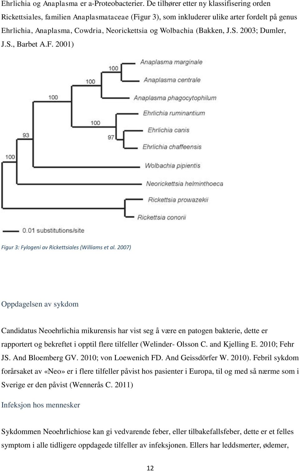 (Bakken, J.S. 2003; Dumler, J.S., Barbet A.F. 2001) Figur 3: Fylogeni av Rickettsiales (Williams et al.