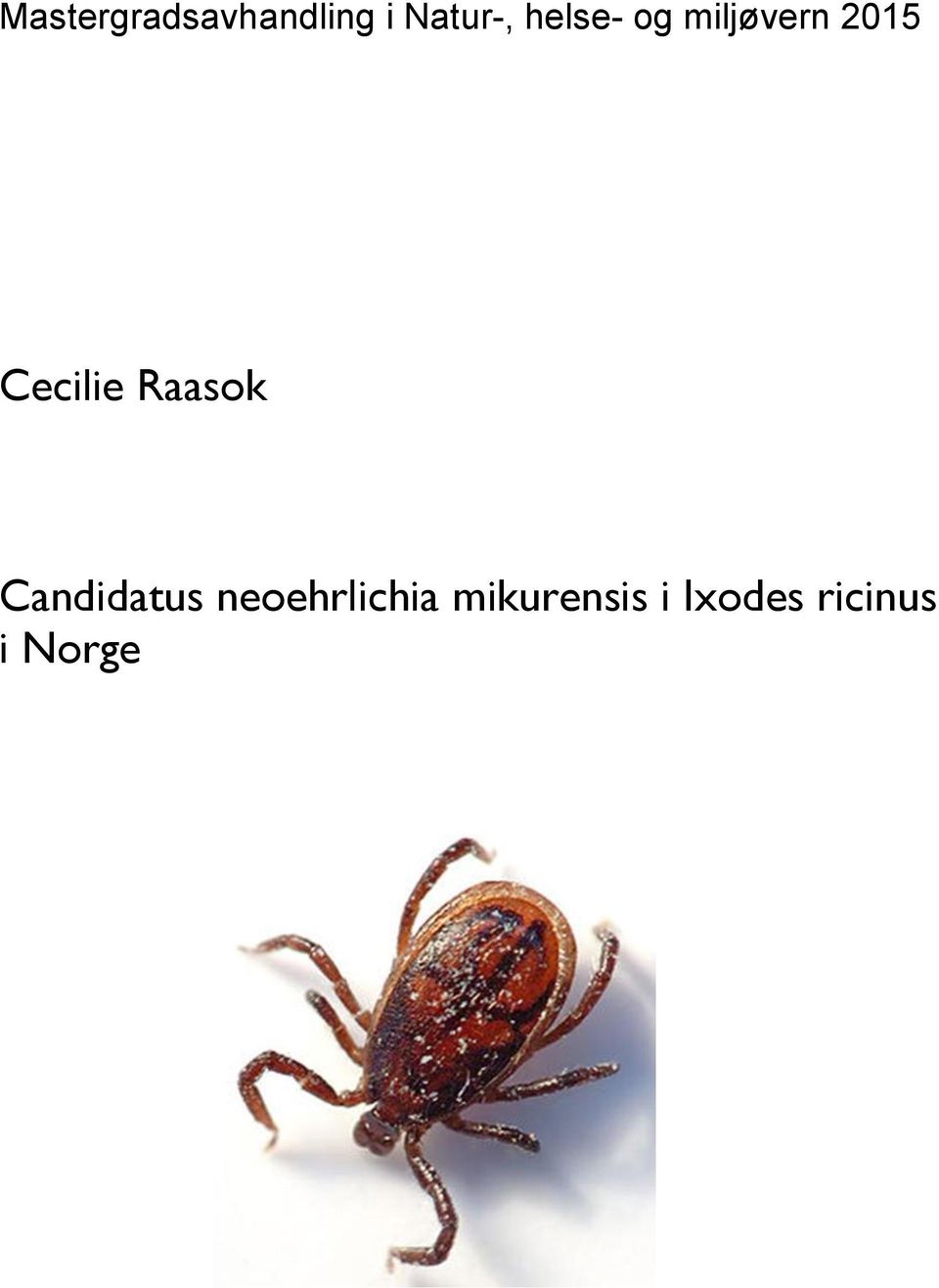 Raasok Candidatus neoehrlichia