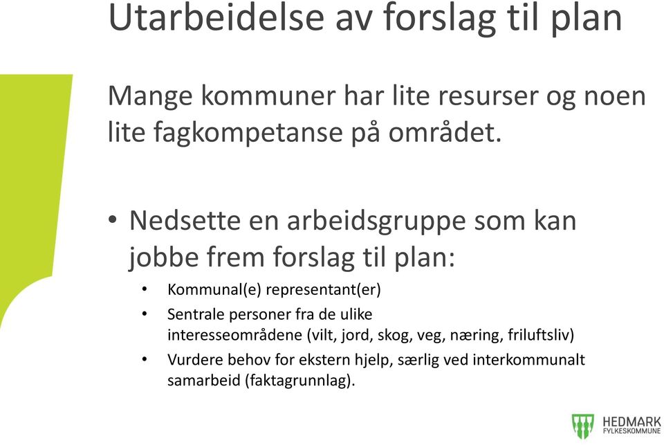 Nedsette en arbeidsgruppe som kan jobbe frem forslag til plan: Kommunal(e) representant(er)