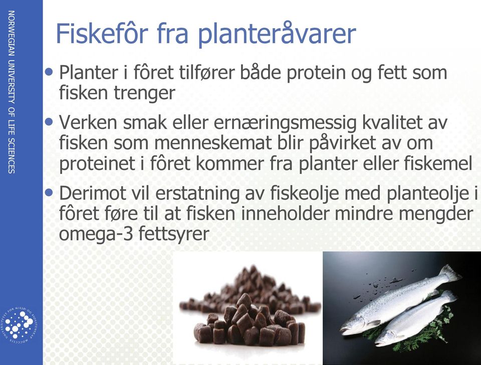 påvirket av om proteinet i fôret kommer fra planter eller fiskemel Derimot vil