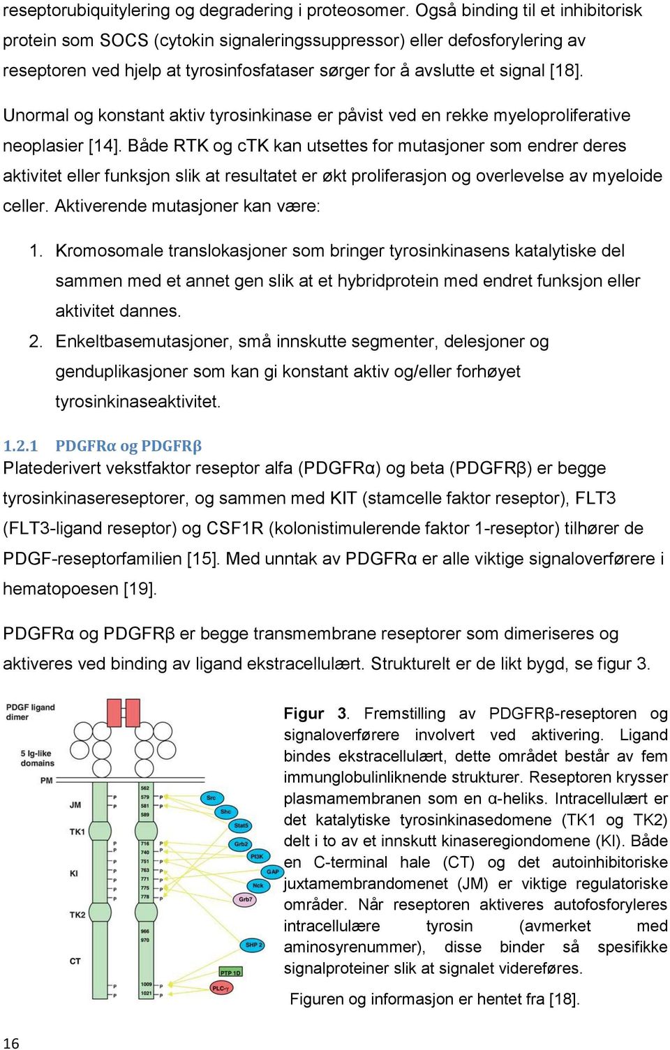 Unormal og konstant aktiv tyrosinkinase er påvist ved en rekke myeloproliferative neoplasier [14].