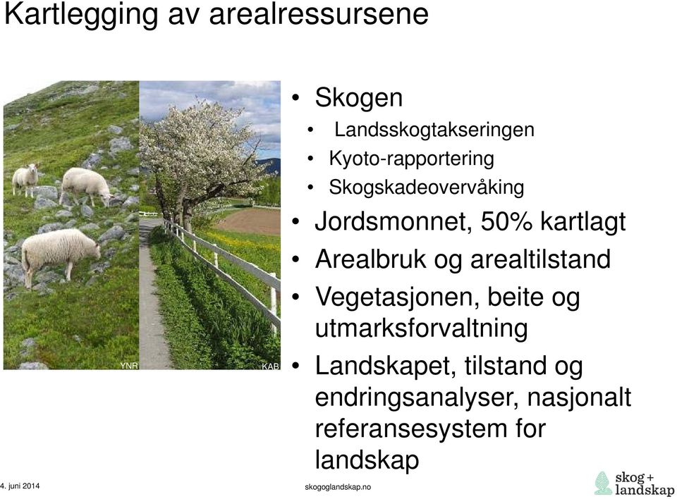 Arealbruk og arealtilstand Vegetasjonen, beite og utmarksforvaltning