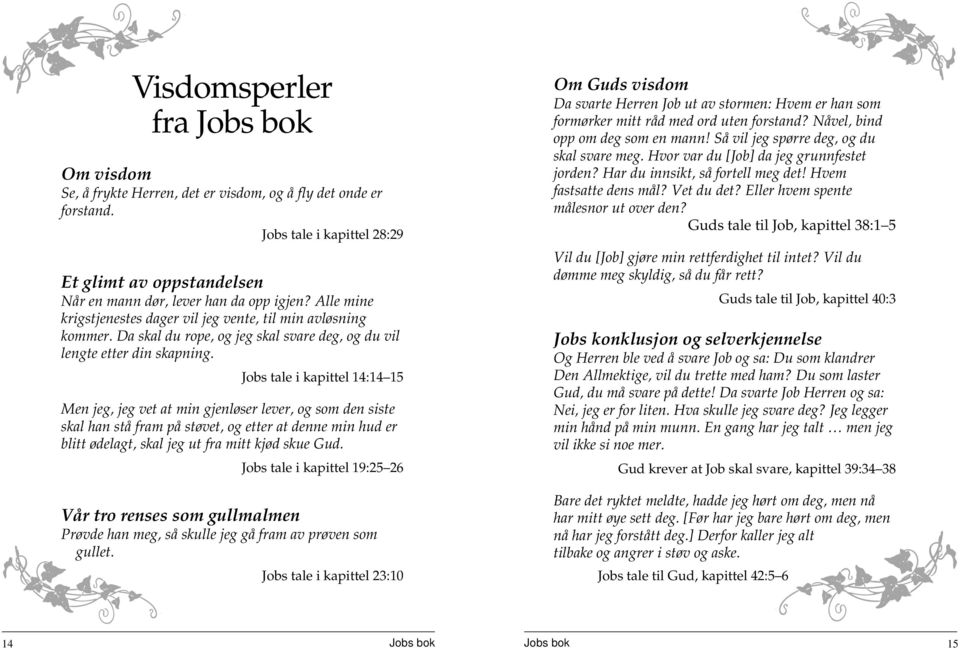 Jobs tale i kapittel 14:14 15 Men jeg, jeg vet at min gjenløser lever, og som den siste skal han stå fram på støvet, og etter at denne min hud er blitt ødelagt, skal jeg ut fra mitt kjød skue Gud.