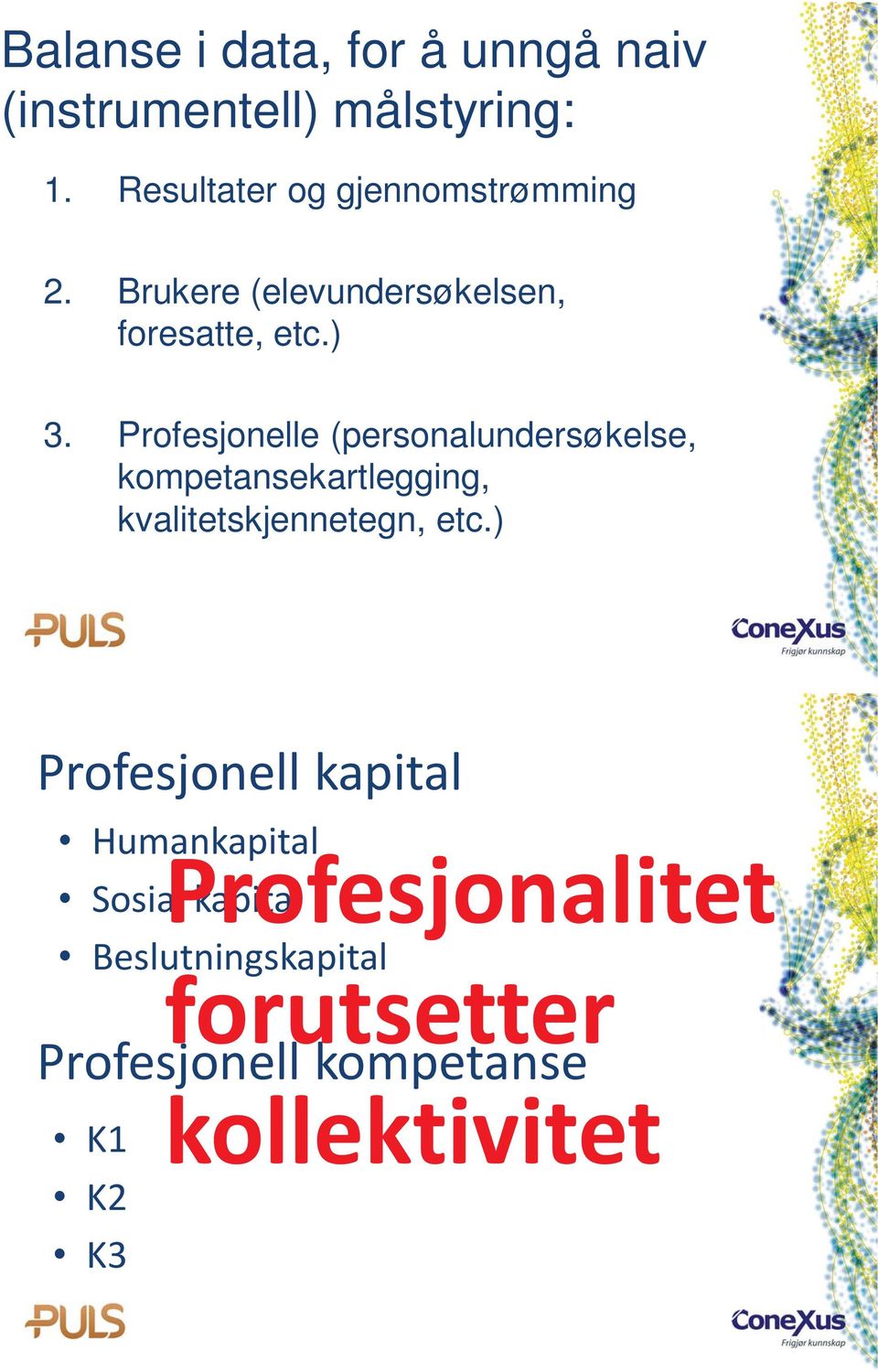 Profesjonelle (personalundersøkelse, kompetansekartlegging, kvalitetskjennetegn, etc.