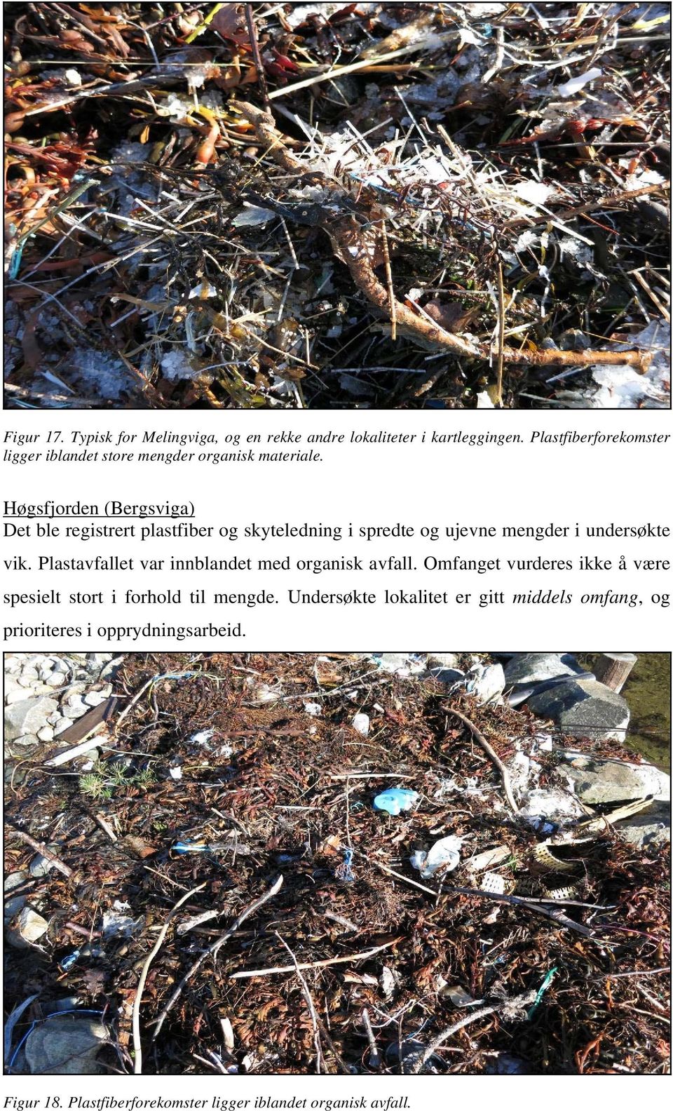 Høgsfjorden (Bergsviga) Det ble registrert plastfiber og skyteledning i spredte og ujevne mengder i undersøkte vik.