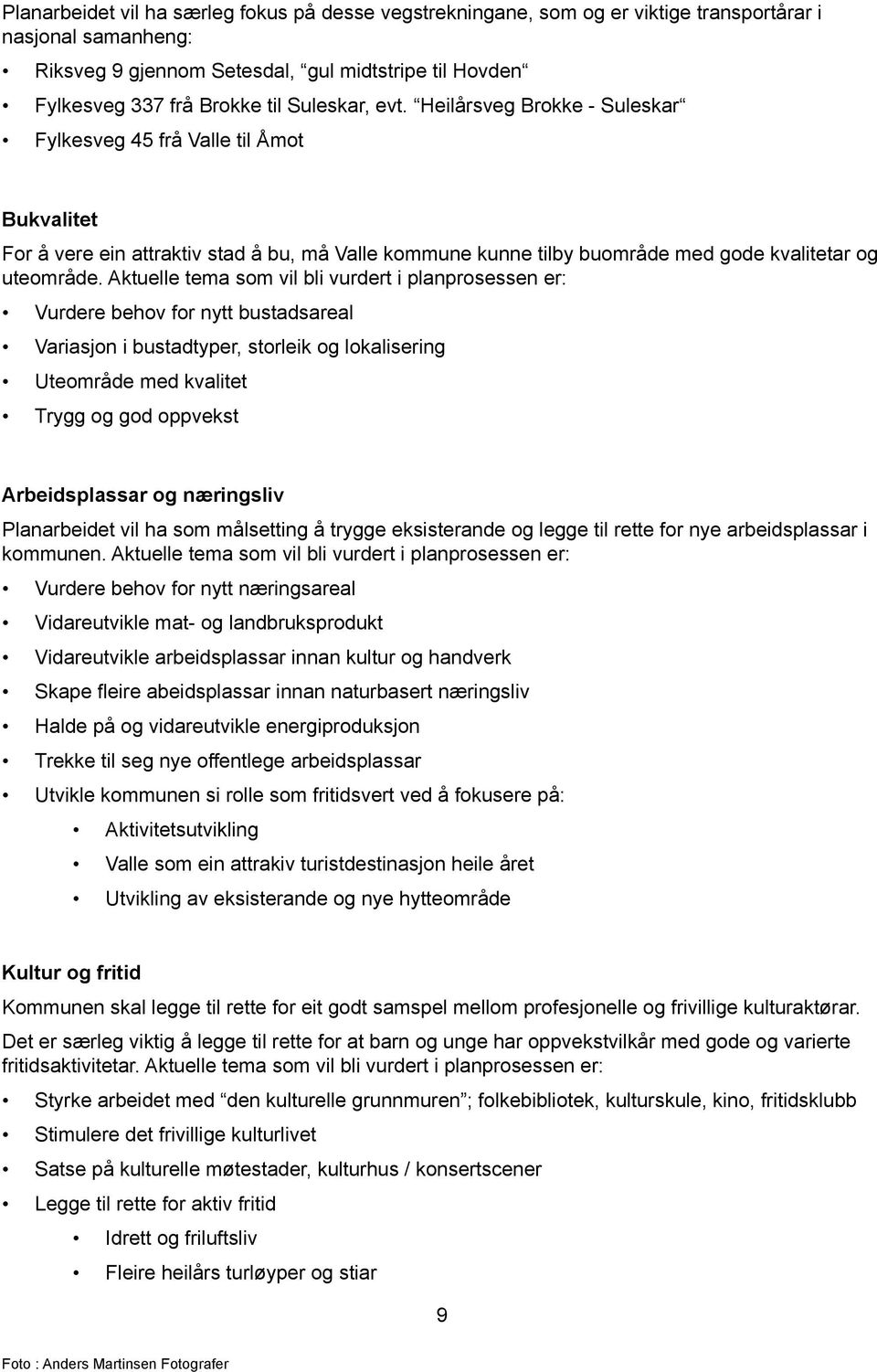 Aktuelle tema som vil bli vurdert i planprosessen er: Vurdere behov for nytt bustadsareal Variasjon i bustadtyper, storleik og lokalisering Uteområde med kvalitet Trygg og god oppvekst Arbeidsplassar