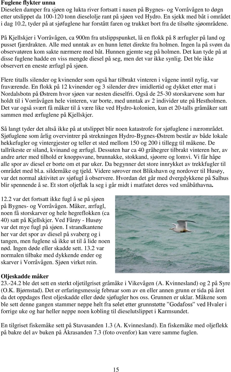 På Kjellskjer i Vorråvågen, ca 900m fra utslippspunket, lå en flokk på 8 ærfugler på land og pusset fjærdrakten. Alle med unntak av en hunn lettet direkte fra holmen.