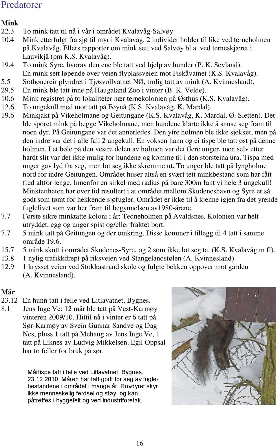 En mink sett løpende over veien flyplassveien mot Fiskåvatnet (K.S. Kvalavåg). 5.5 Sothønereir plyndret i Tjøsvollvatnet NØ, trolig tatt av mink (A. Kvinnesland). 29.