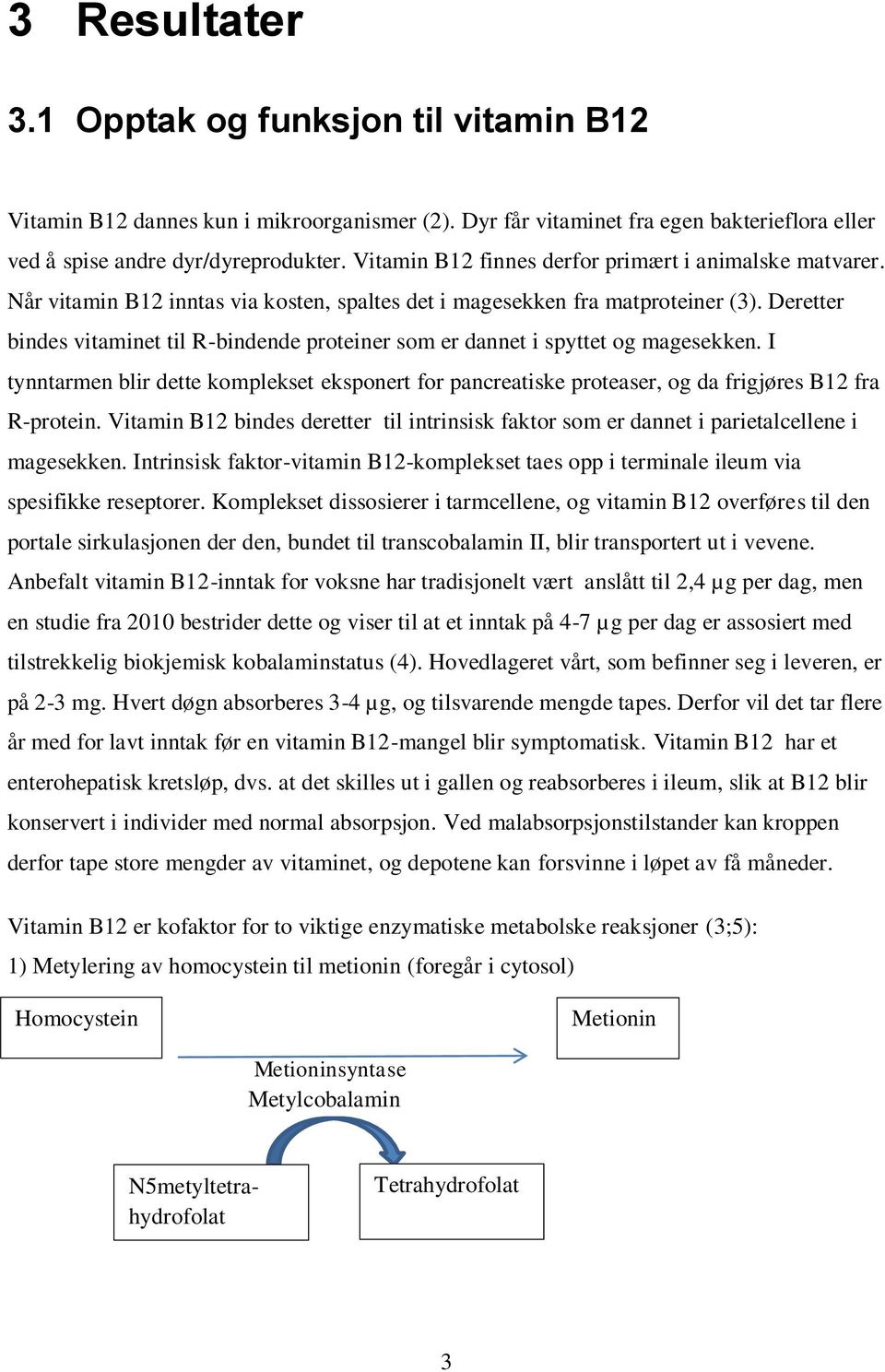 Deretter bindes vitaminet til R-bindende proteiner som er dannet i spyttet og magesekken. I tynntarmen blir dette komplekset eksponert for pancreatiske proteaser, og da frigjøres B12 fra R-protein.