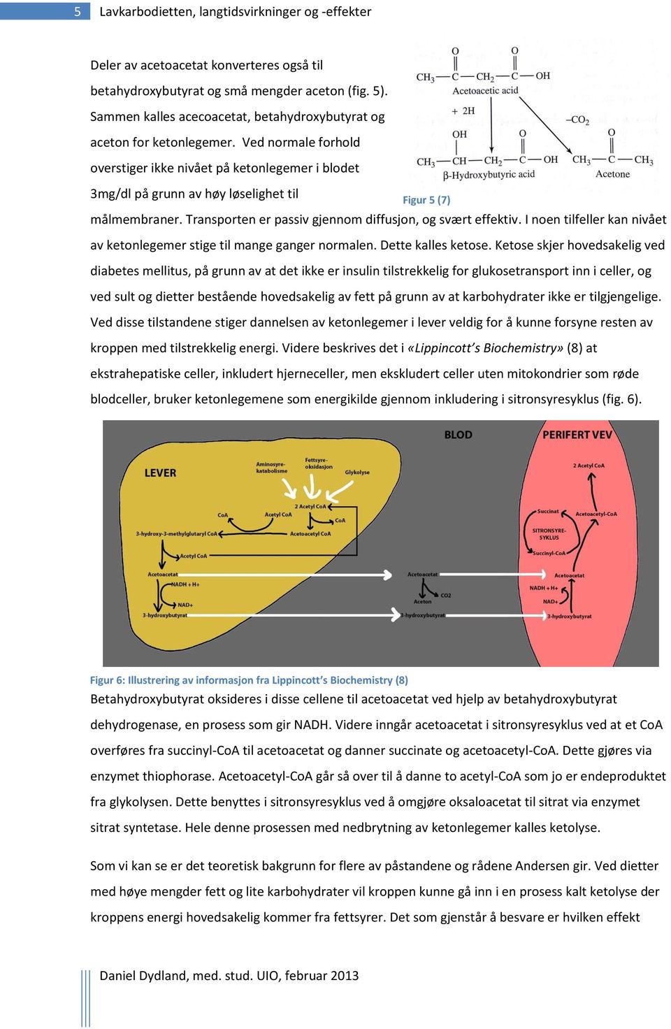 Ved normale forhold overstiger ikke nivået på ketonlegemer i blodet 3mg/dl på grunn av høy løselighet til Figur 5 (7) målmembraner. Transporten er passiv gjennom diffusjon, og svært effektiv.