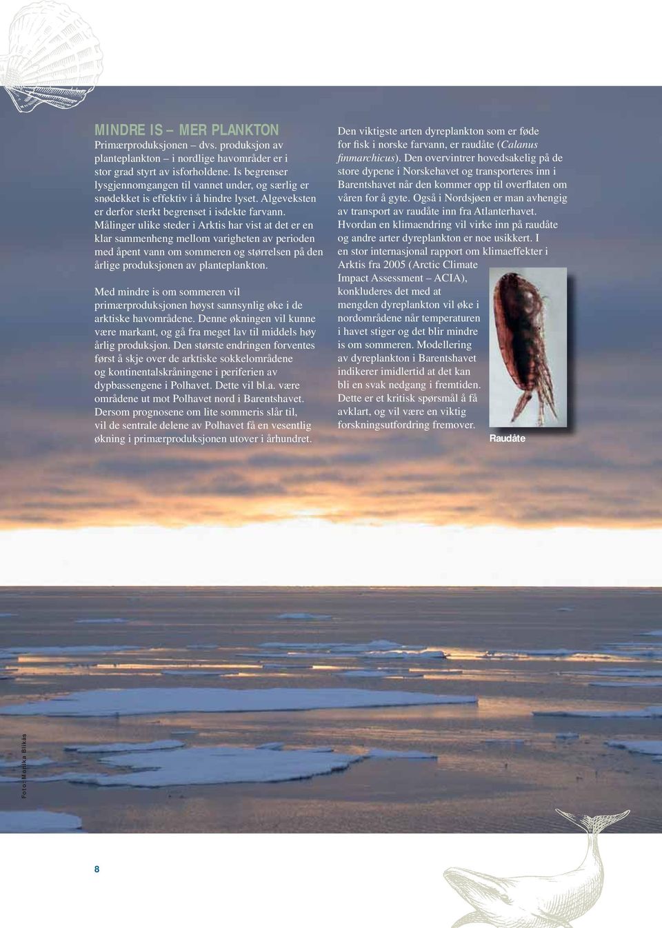 Målinger ulike steder i Arktis har vist at det er en klar sammenheng mellom varigheten av perioden med åpent vann om sommeren og størrelsen på den årlige produksjonen av planteplankton.