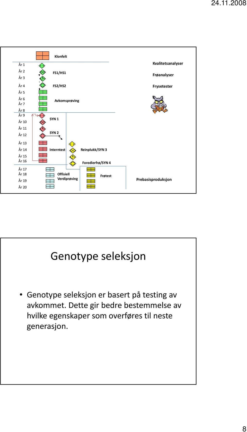 Foredlerfrø/SYN 4 Frøtest Kvalitetsanalyser Frøanalyser Frysetester Prebasisproduksjon Genotype seleksjon Genotype