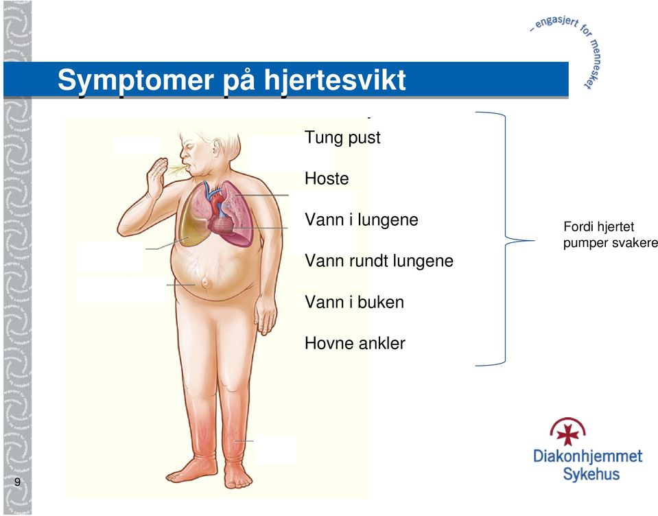 rundt lungene Fordi hjertet