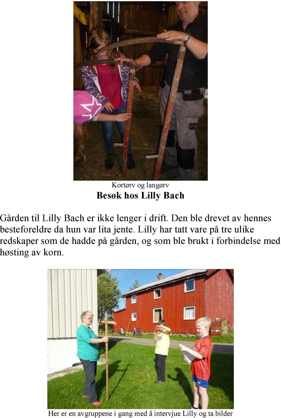 Lilly har tatt vare på tre ulike redskaper som de hadde på gården, og som ble