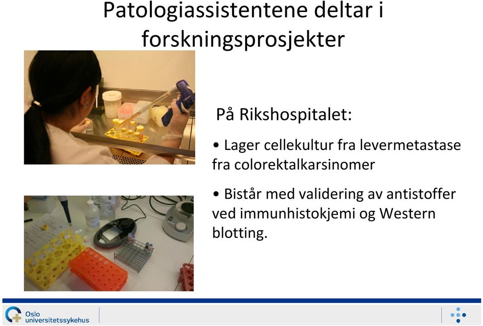 levermetastase fra colorektalkarsinomer Bistår med