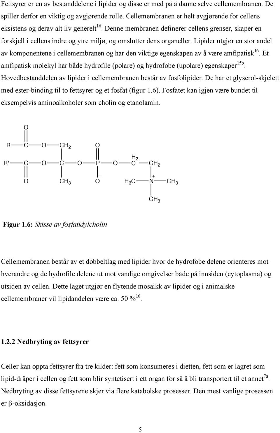 Denne membranen definerer cellens grenser, skaper en forskjell i cellens indre og ytre miljø, og omslutter dens organeller.