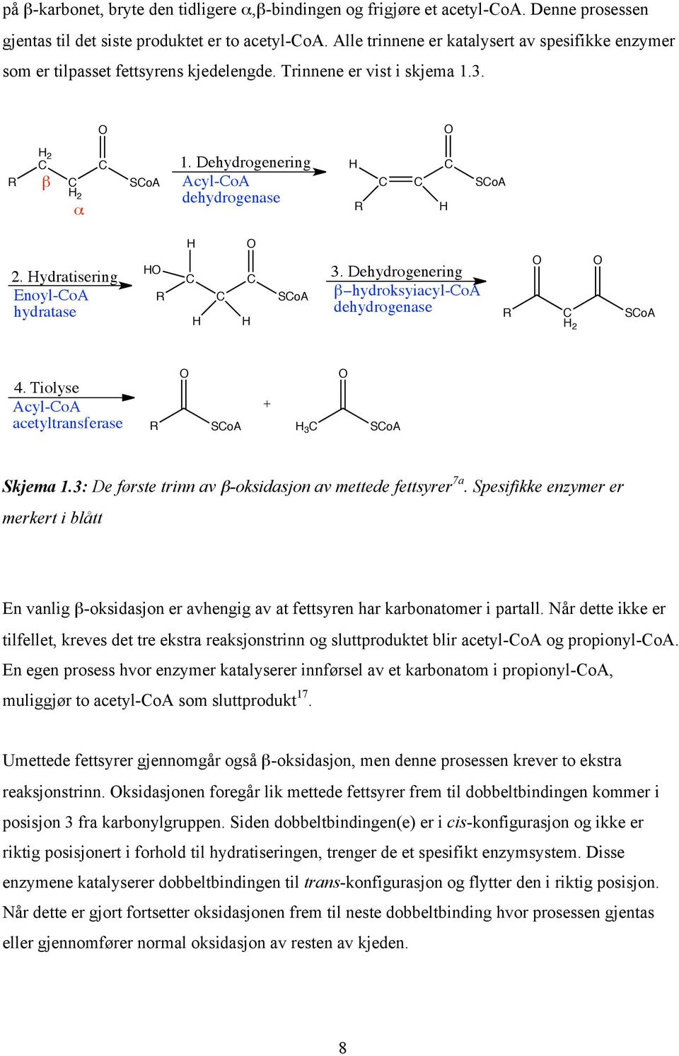 ydratisering Enoyl-CoA hydratase R C C C SCoA 3. Dehydrogenering "#hydroksyiacyl-coa dehydrogenase R C 2 SCoA 4. Tiolyse Acyl-CoA acetyltransferase + R SCoA 3 C SCoA Skjema 1.