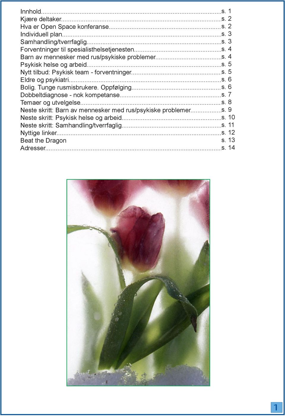 Tunge rusmisbrukere. Oppfølging... s. 6 Dobbeltdiagnose - nok kompetanse... s. 7 Temaer og utvelgelse... s. 8 Neste skritt: Barn av mennesker med rus/psykiske problemer... s. 9 Neste skritt: Psykisk helse og arbeid.