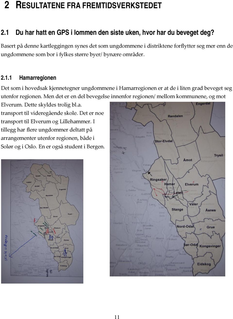 1 Hamarregionen Det som i hovedsak kjennetegner ungdommene i Hamarregionen er at de i liten grad beveget seg utenfor regionen.