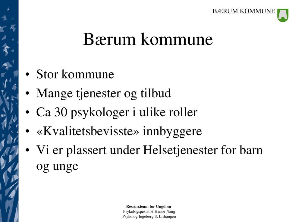 ulike roller «Kvalitetsbevisste»