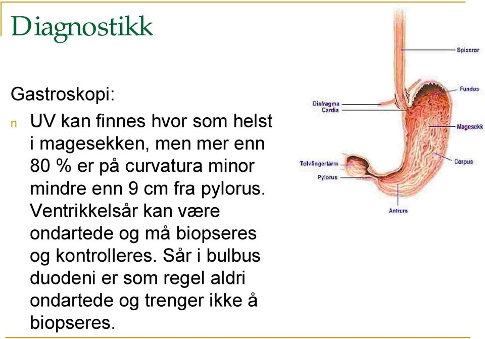 Ventrikkelsår kan være ondartede og må biopseres og kontrolleres.