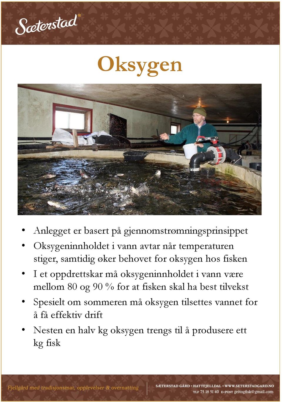 oksygeninnholdet i vann være mellom 80 og 90 % for at fisken skal ha best tilvekst Spesielt om