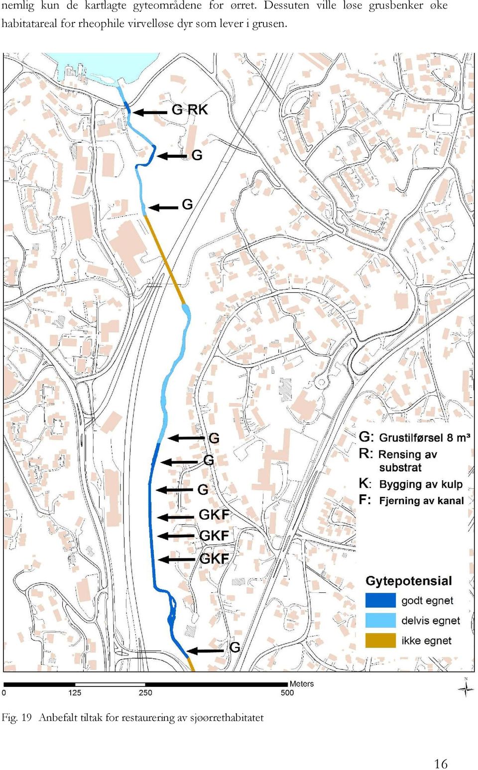 rheophile virvelløse dyr som lever i grusen. Fig.