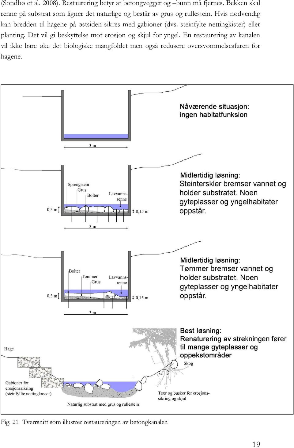 Hvis nødvendig kan bredden til hagene på østsiden sikres med gabioner (dvs. steinfylte nettingkister) eller planting.