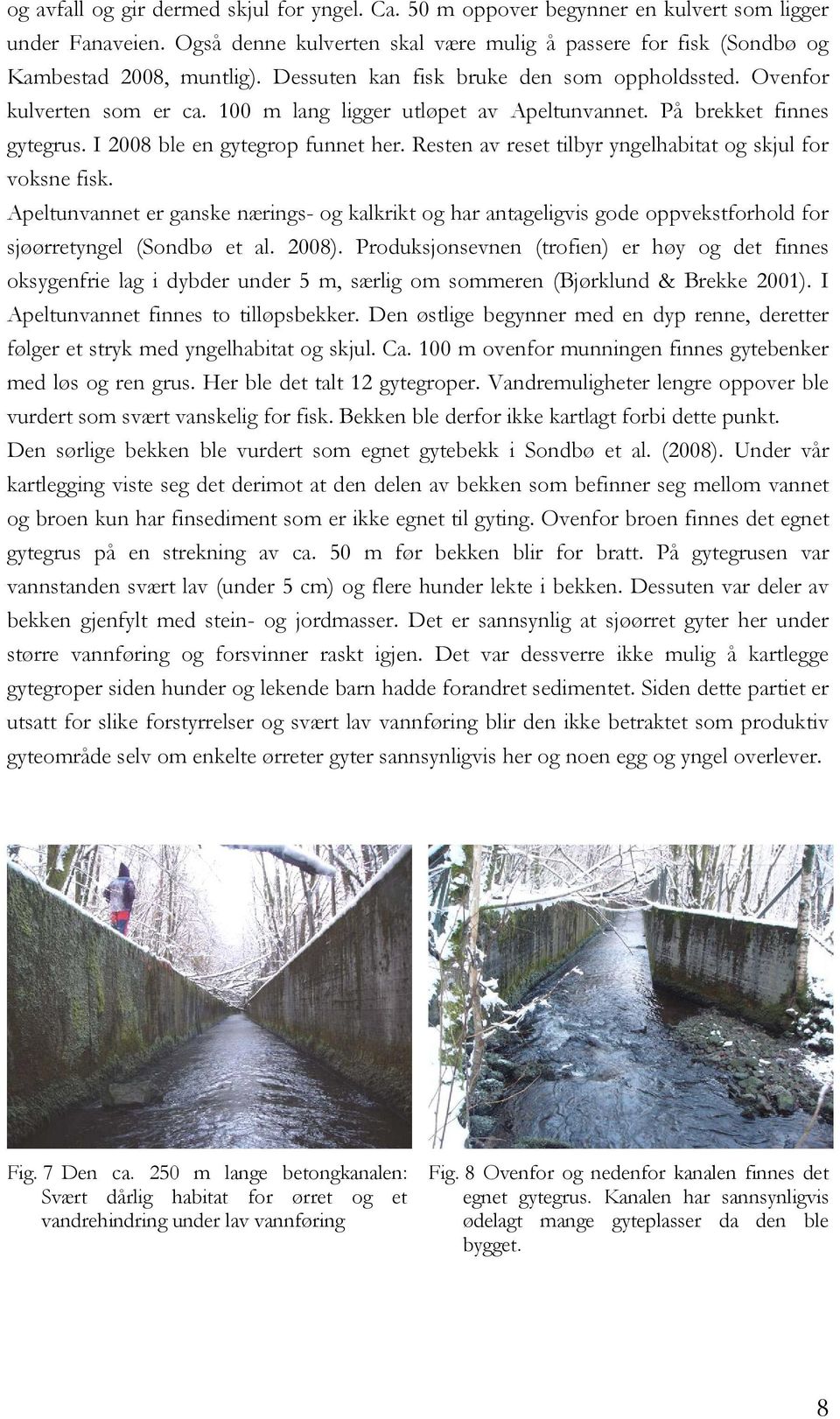 Resten av reset tilbyr yngelhabitat og skjul for voksne fisk. Apeltunvannet er ganske nærings- og kalkrikt og har antageligvis gode oppvekstforhold for sjøørretyngel (Sondbø et al. 2008).