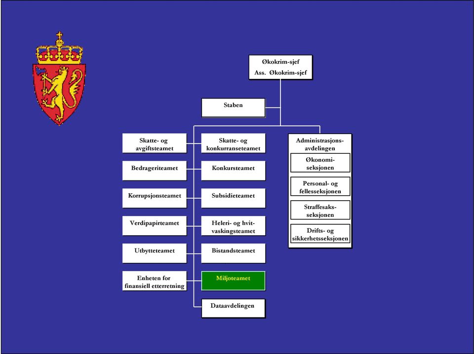 Utbytteteamet Skatte- og konkurranseteamet Konkursteamet Subsidieteamet Heleri- og hvitvaskingsteamet