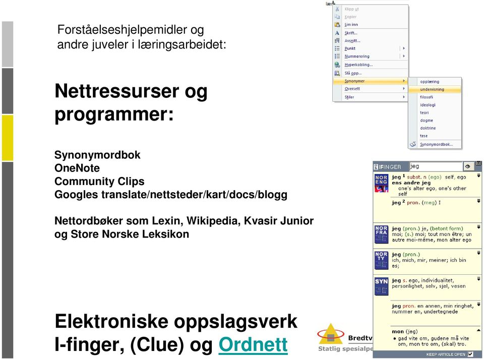 translate/nettsteder/kart/docs/blogg Nettordbøker som Lexin, Wikipedia,