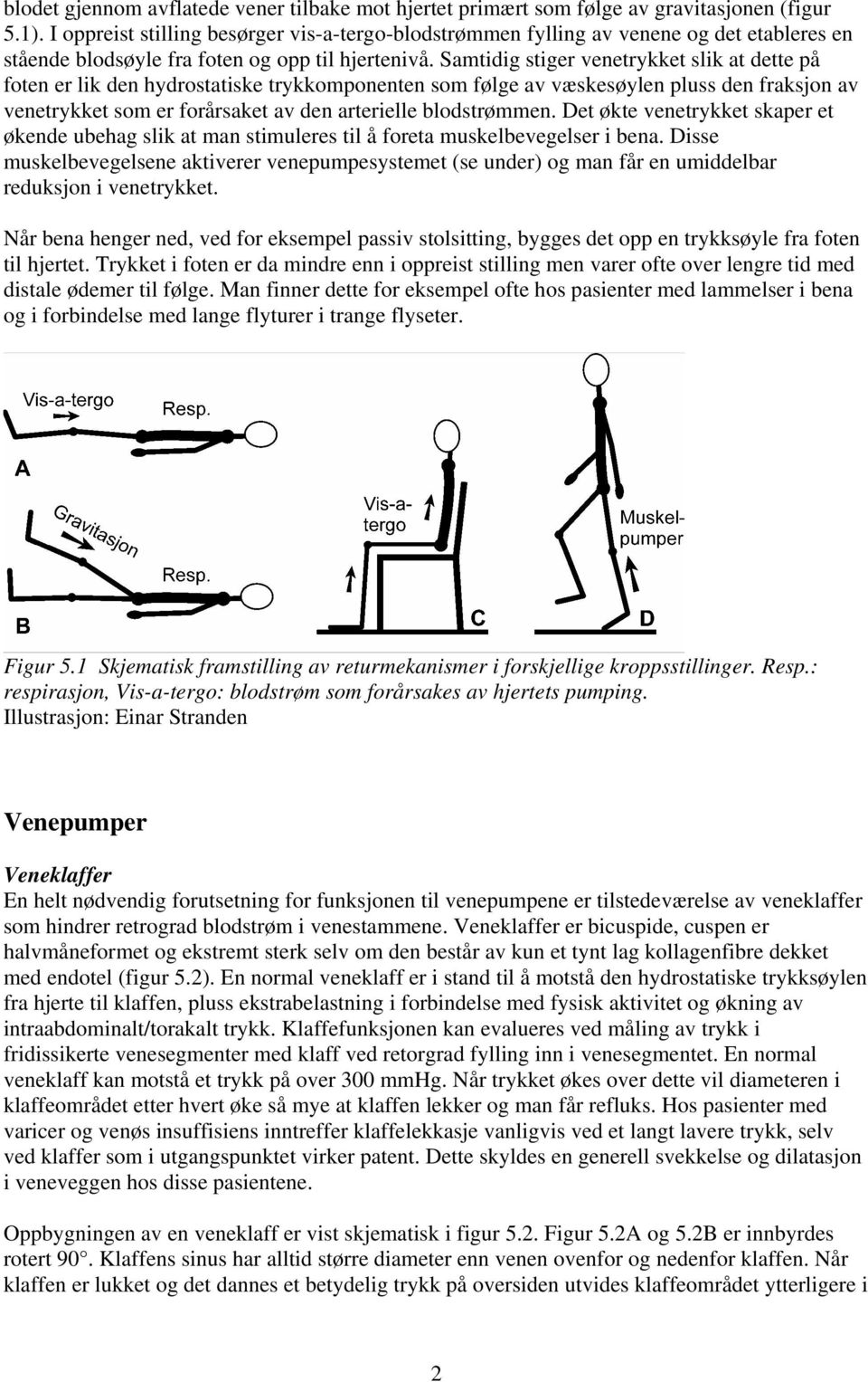 Samtidig stiger venetrykket slik at dette på foten er lik den hydrostatiske trykkomponenten som følge av væskesøylen pluss den fraksjon av venetrykket som er forårsaket av den arterielle blodstrømmen.