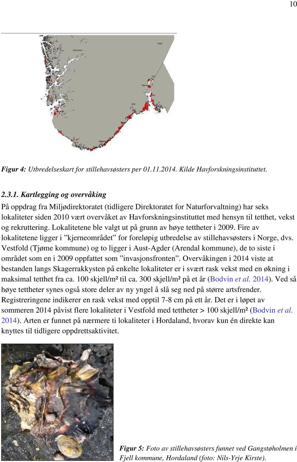 Fire av lokalitetene ligger i kjerneområdet for foreløpig utbredelse av stillehavsøsters i Norge, dvs.