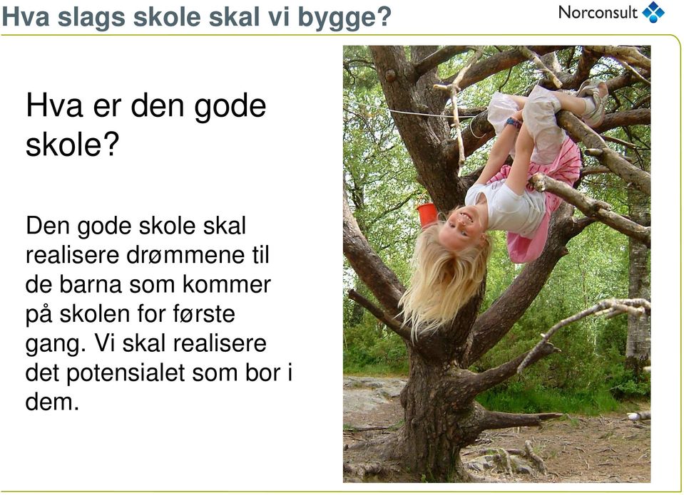 Den gode skole skal realisere drømmene til de