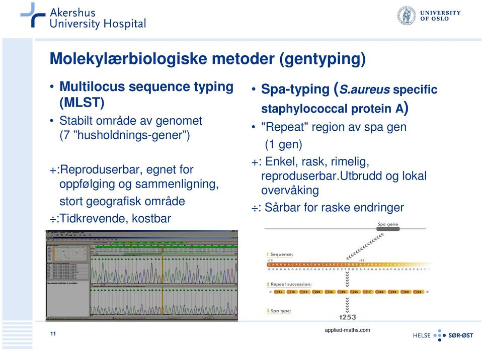 :Tidkrevende, kostbar Spa-typing (S.