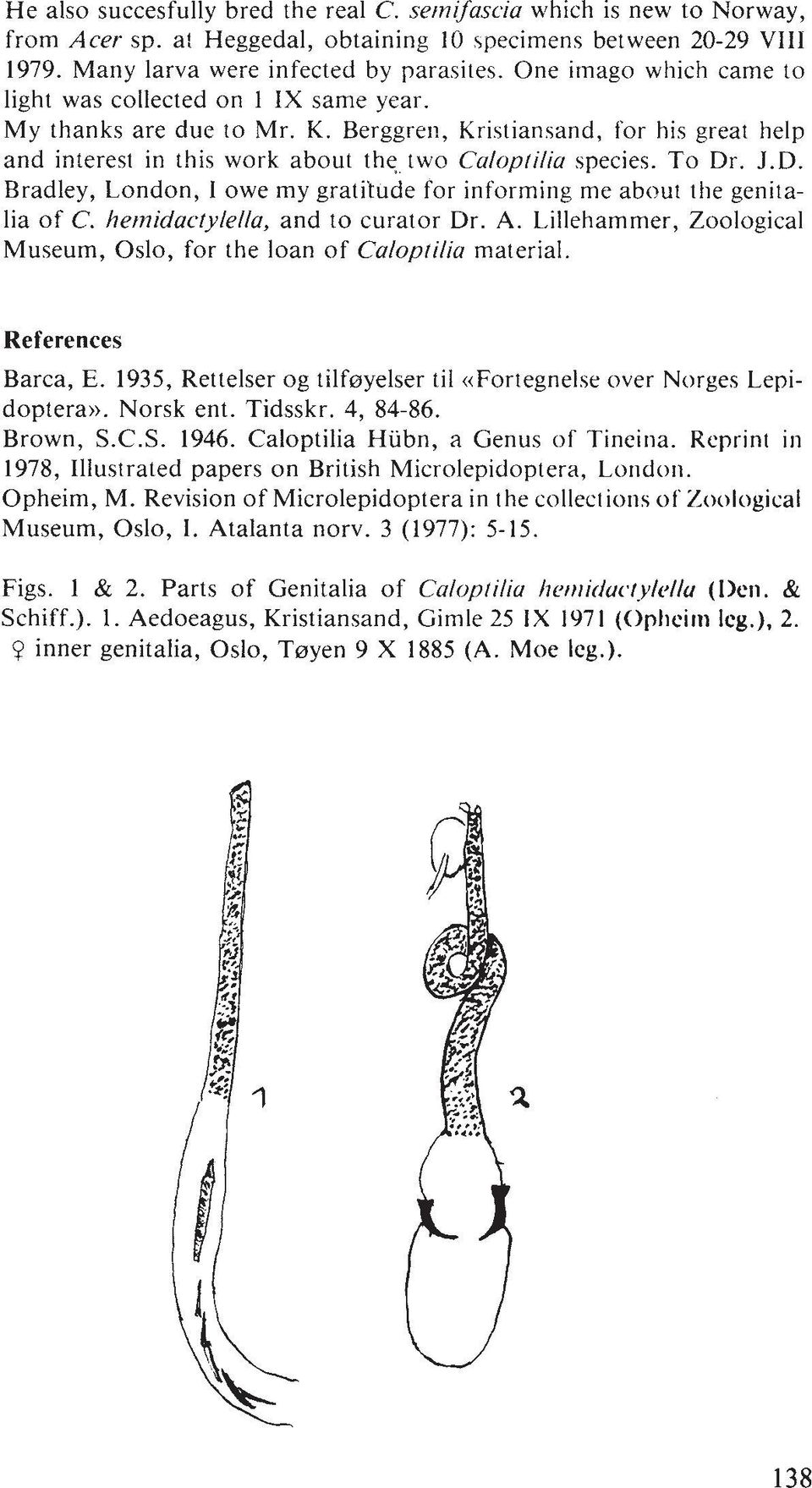 To Dr. J.D. Bradley, London, 1 owe my gratitude for informing me about the genitalia of C. herniduc~ylellu, and to curator Dr. A. L.illehammer, Zoological Museum, Oslo, for the loan of Culoptiliu material.