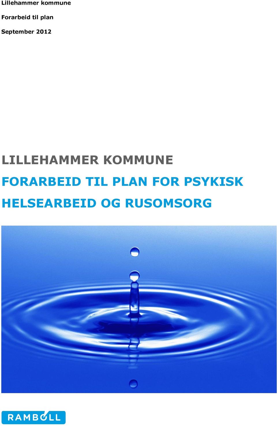 LILLEHAMMER KOMMUNE FORARBEID