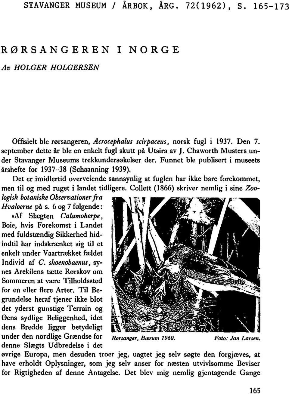 sannsynlig at fuglen har ikke bare forekommet, men til og med ruget i landet tidligere Collett (1866) skriver nemlig i sine Zoologisk botaniske Observationer fra Hvaloerne på s 6 og 7 følgende: «Af