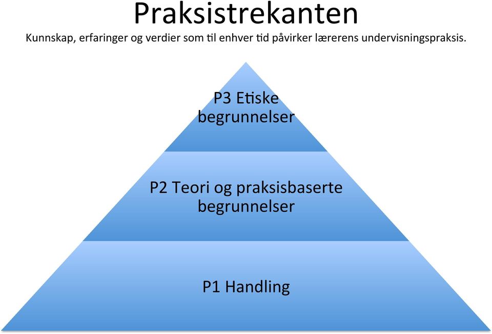 undervisningspraksis.