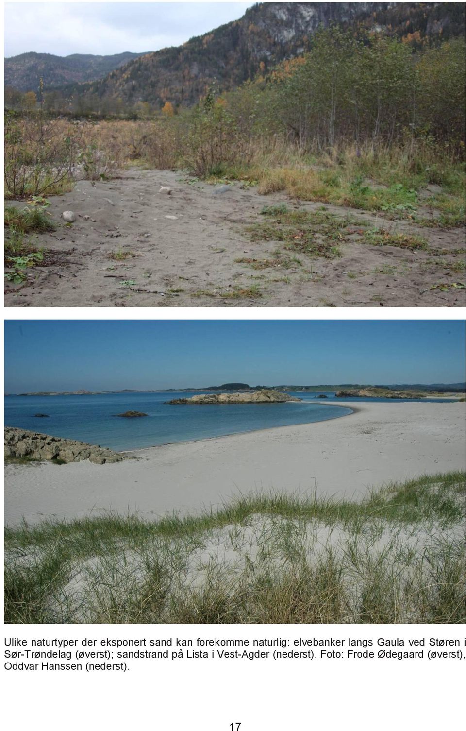 Sør-Trøndelag (øverst); sandstrand på Lista i