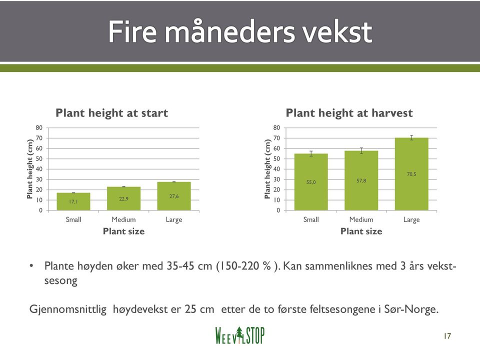 Small Medium Large Plant size Plante høyden øker med 35-45 cm (150-220 % ).