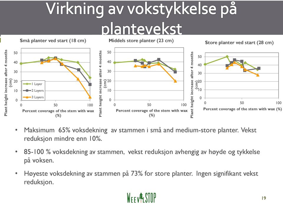 coverage of the stem with wax (%) 0 0 50 100 Percent coverage of the stem with wax (%) Maksimum 65% voksdekning av stammen i små and medium-store planter.