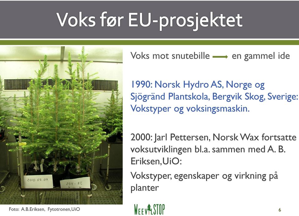 2000: Jarl Pettersen, Norsk Wax fortsatte voksutviklingen bl.a. sammen med A.