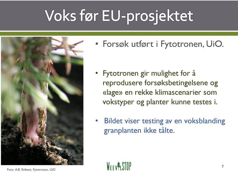 «lage» en rekke klimascenarier som vokstyper og planter kunne