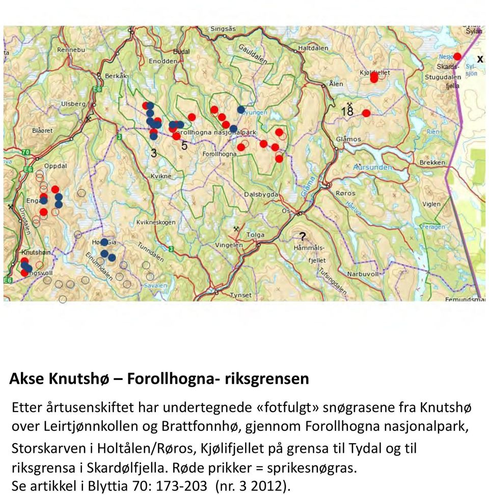 nasjonalpark, Storskarven i Holtålen/Røros, Kjølifjellet på grensa til Tydal og til