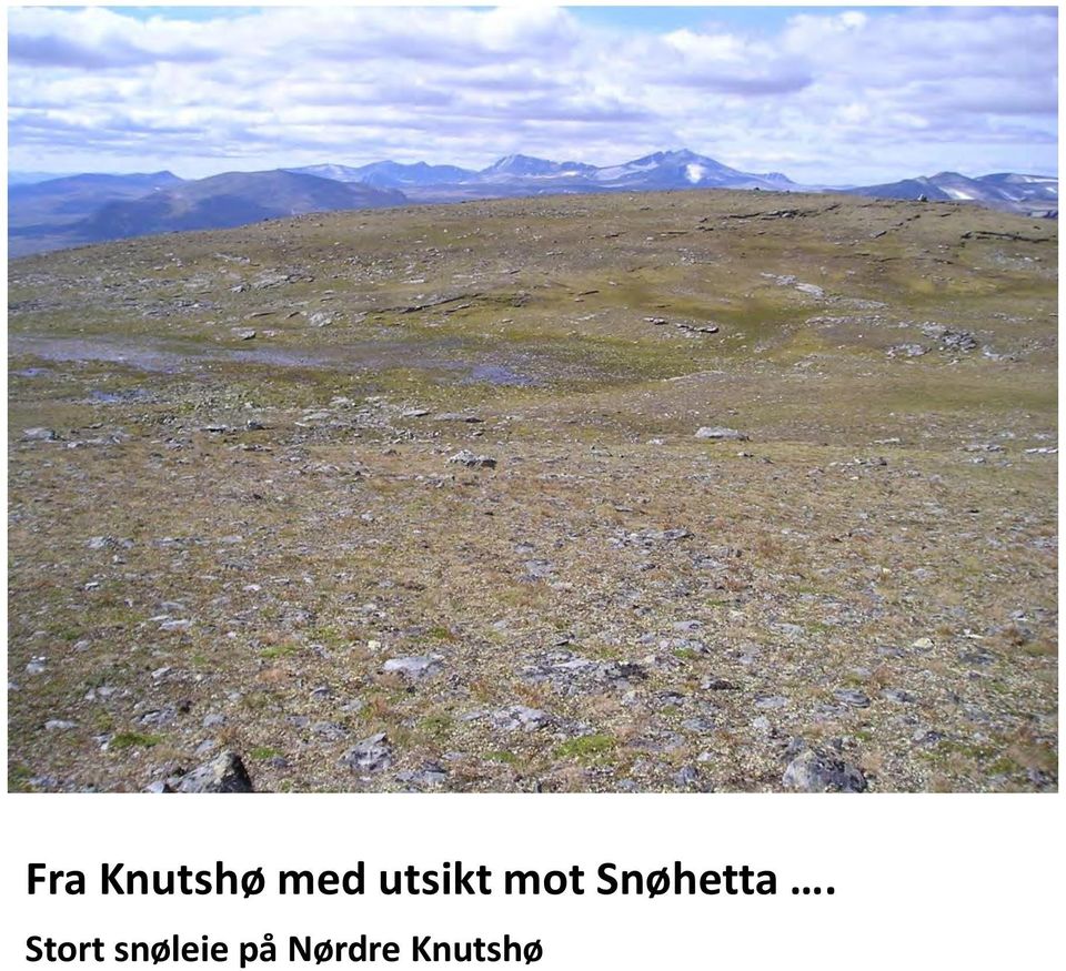 Snøhetta.