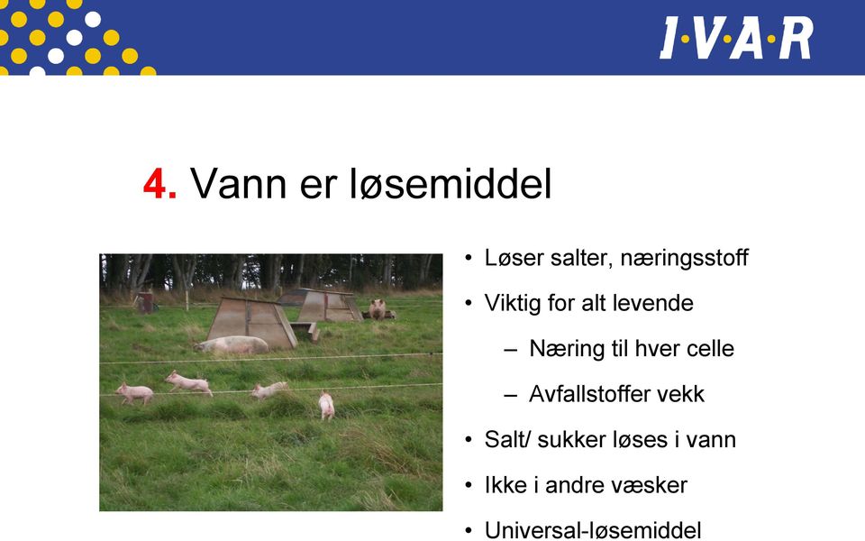 til hver celle Avfallstoffer vekk Salt/